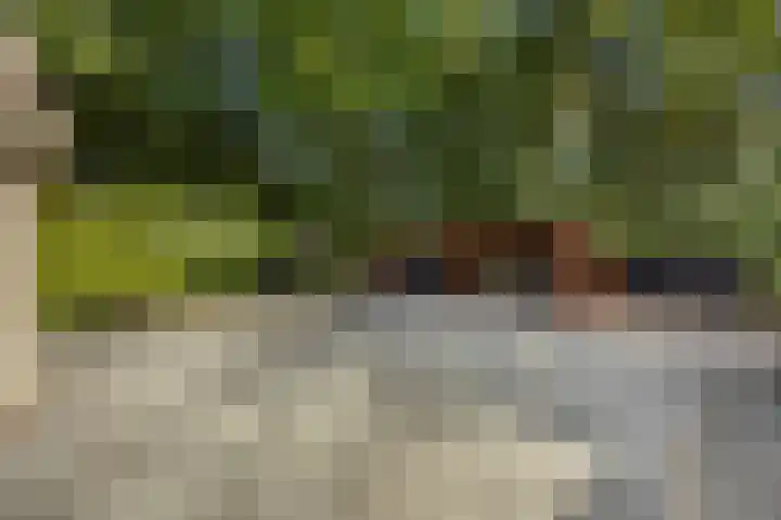 Dokter Kanterslaan 135 Grave thumbnail 54