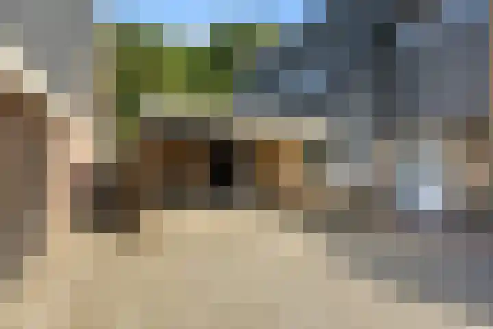 Dokter Kanterslaan 135 Grave thumbnail 56