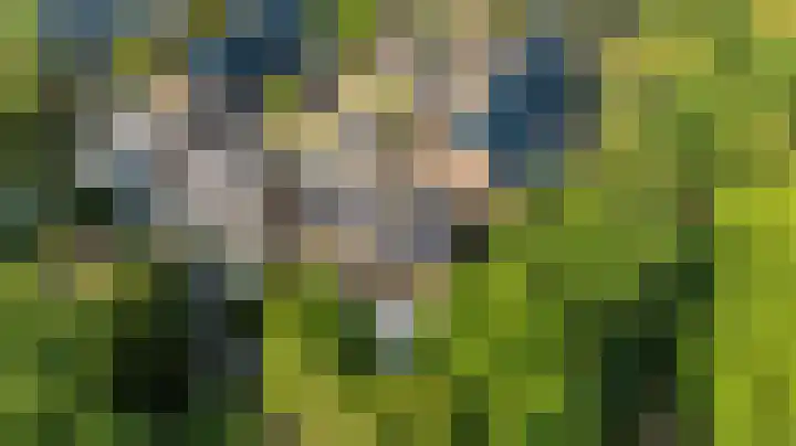 Dokter Kanterslaan 135 Grave thumbnail 59