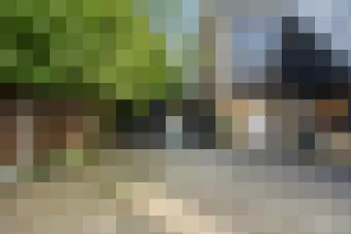 Dokter Kanterslaan 135 Grave thumbnail 6