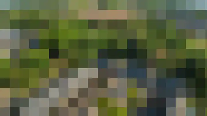 Dokter Kanterslaan 135 Grave thumbnail 60