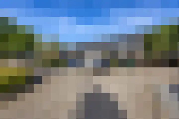 Dokter Kanterslaan 135 Grave thumbnail 61