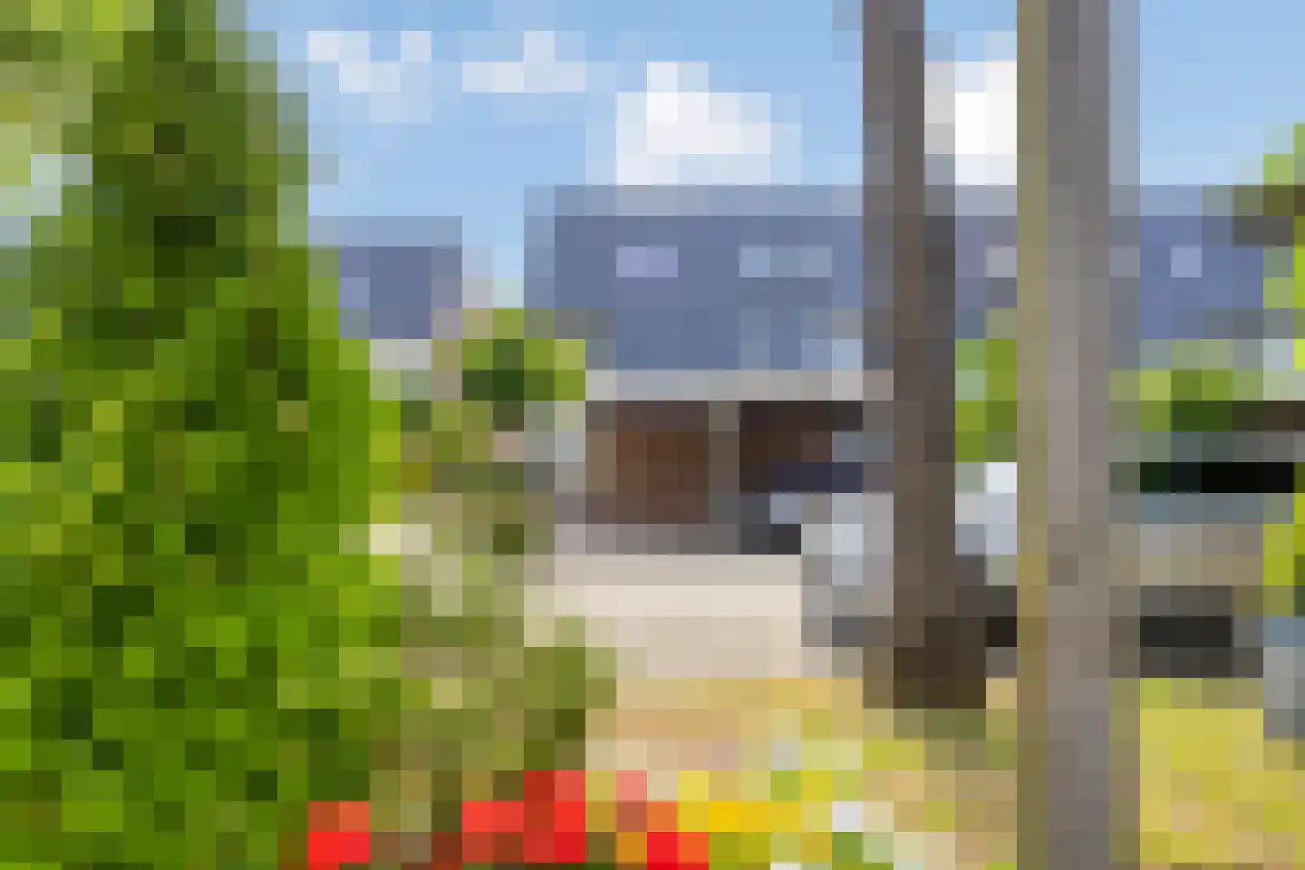 Dokter Kanterslaan 142 Grave thumbnail 36