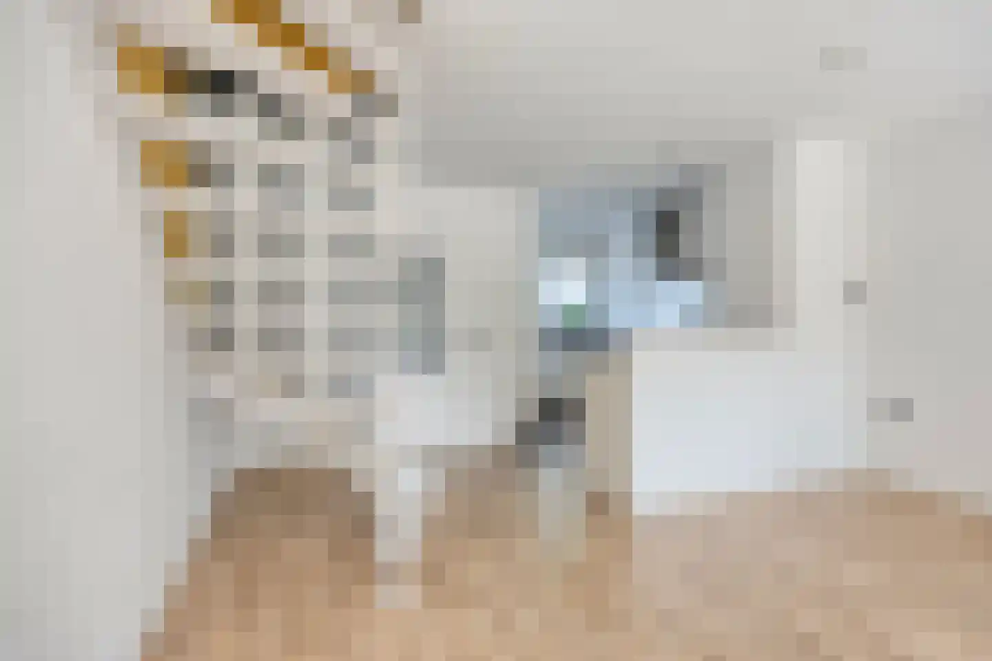 Dokter Kanterslaan 142 Grave thumbnail 8