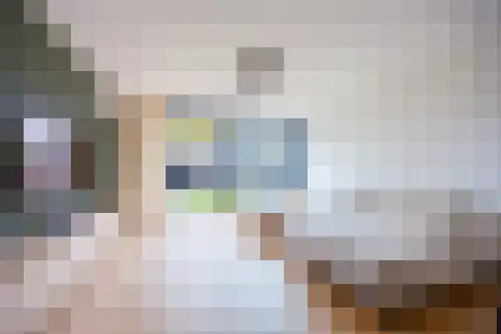 Dokter Kanterslaan 164 Grave thumbnail 11
