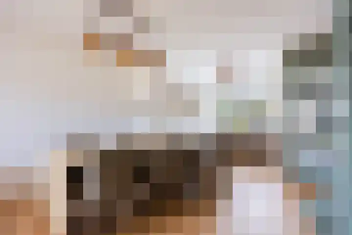 Dokter Kanterslaan 164 Grave thumbnail 12