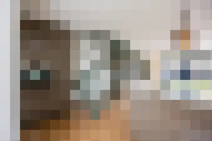 Dokter Kanterslaan 164 Grave thumbnail 17