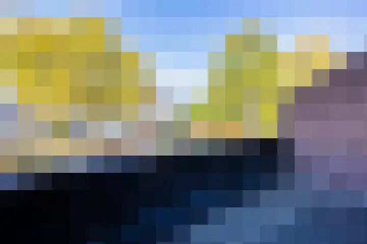 Dokter Kanterslaan 164 Grave thumbnail 26