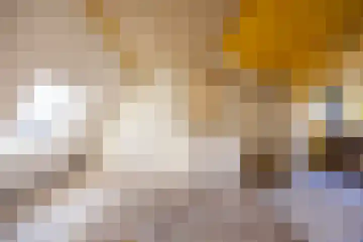 Dokter Kanterslaan 164 Grave thumbnail 30
