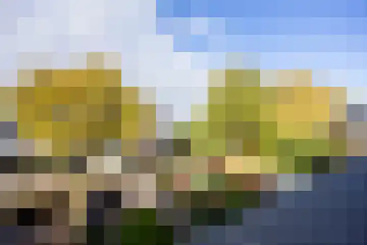 Dokter Kanterslaan 164 Grave thumbnail 31