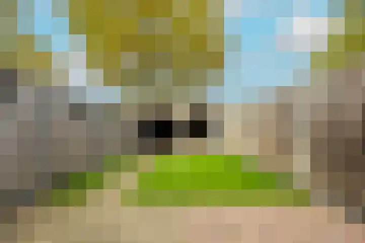 Dokter Kanterslaan 164 Grave thumbnail 35