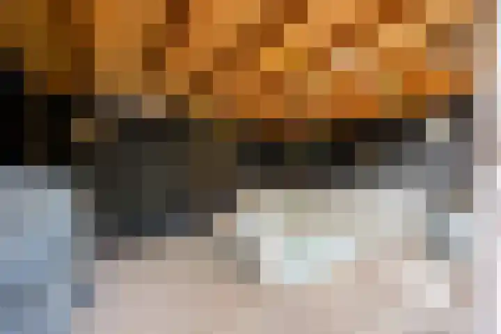 Dokter Kanterslaan 164 Grave thumbnail 36