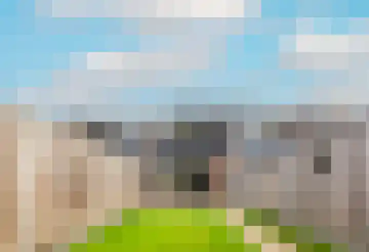 Dokter Kanterslaan 164 Grave thumbnail 37