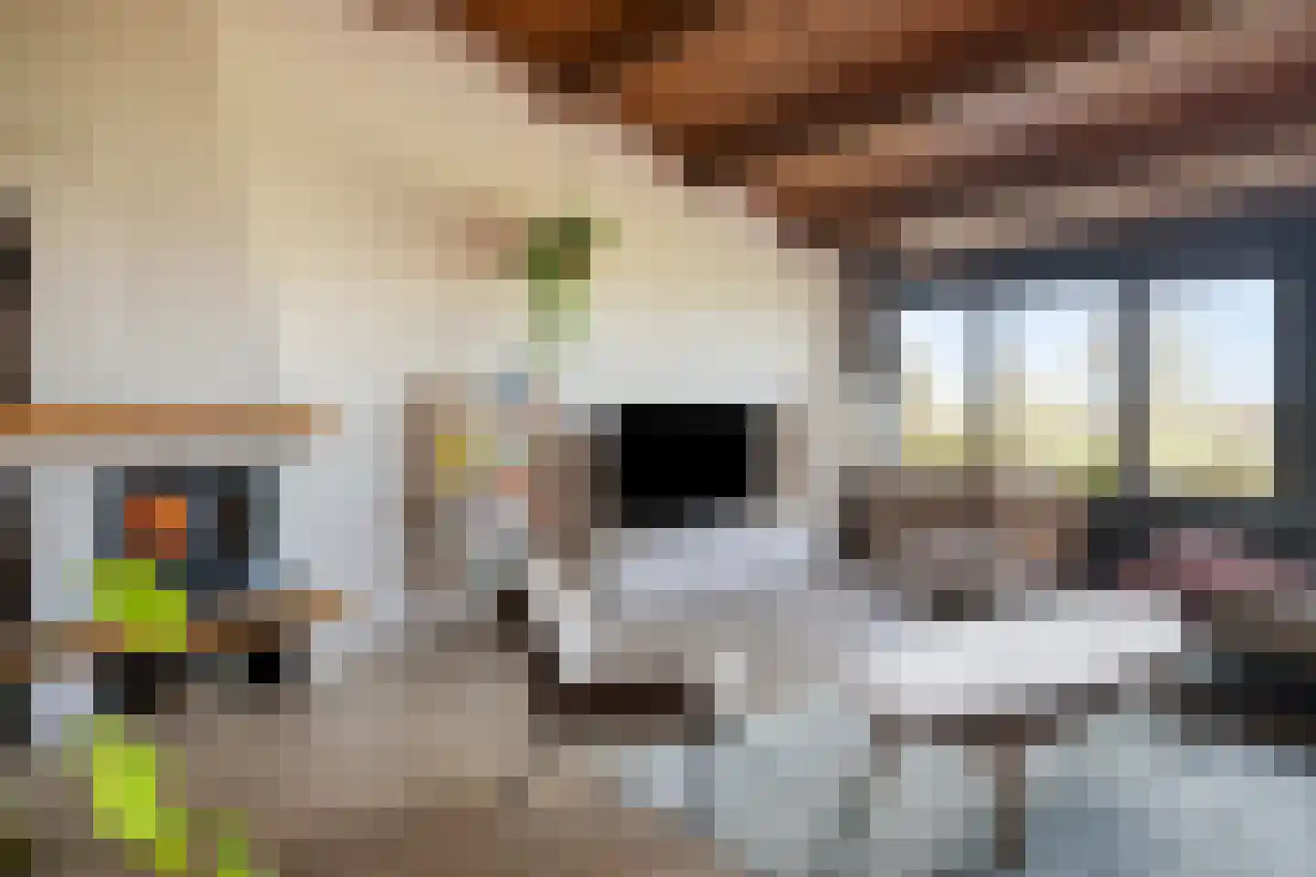 Dokter Kanterslaan 188 Grave thumbnail 31