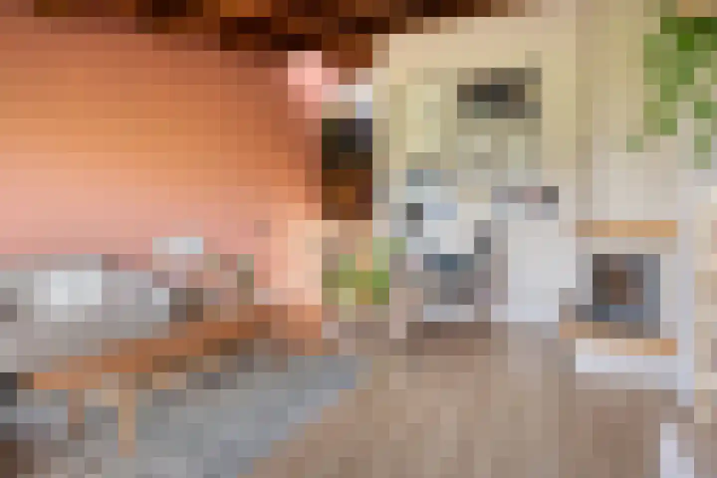 Dokter Kanterslaan 188 Grave thumbnail 34