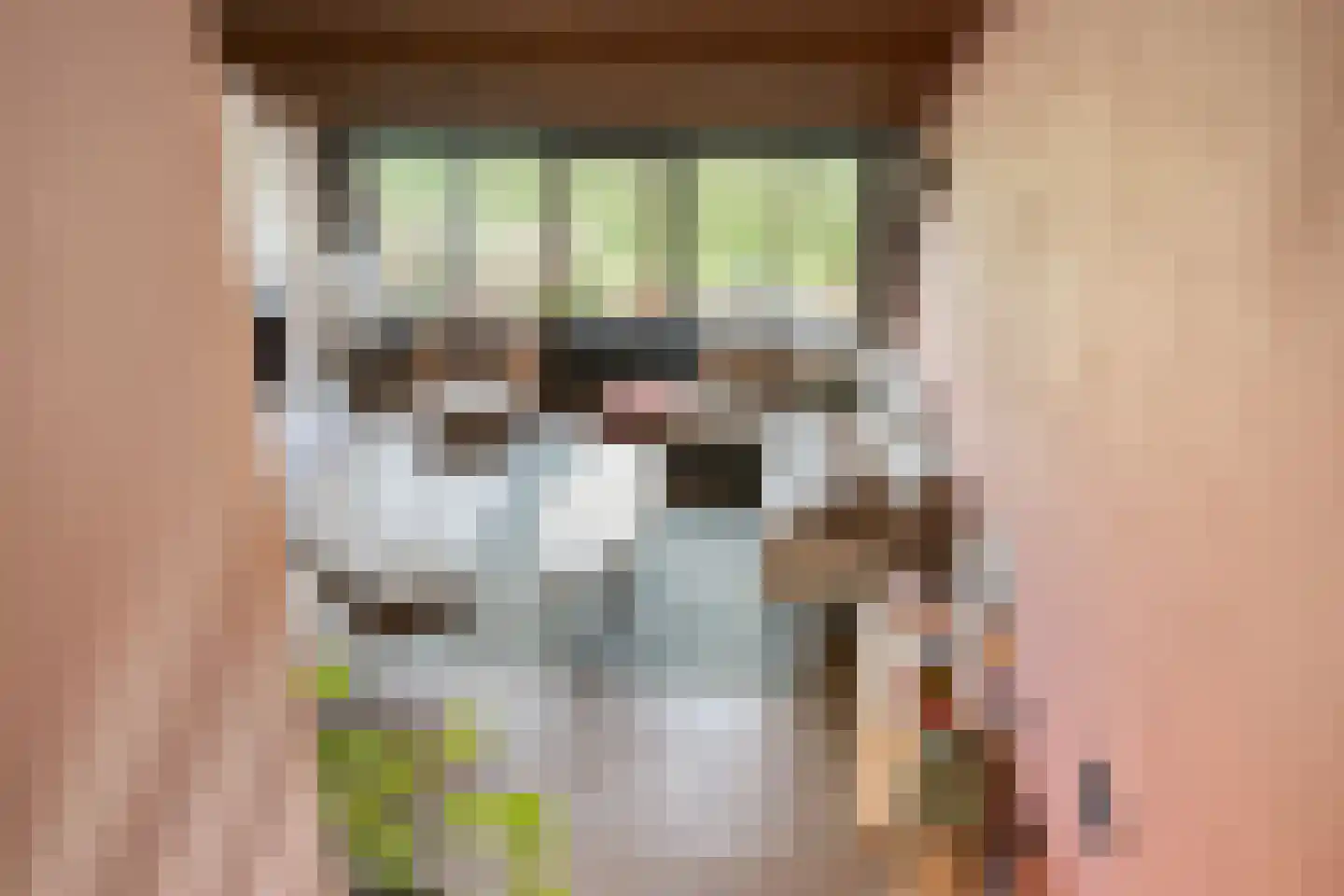 Dokter Kanterslaan 188 Grave thumbnail 37