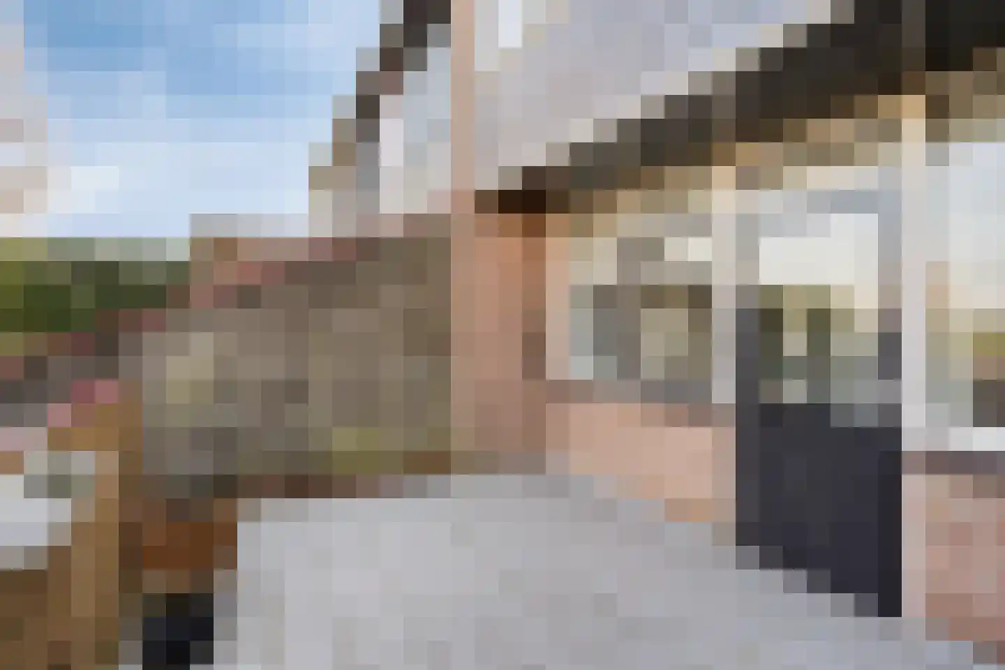 Dokter Kanterslaan 188 Grave thumbnail 43
