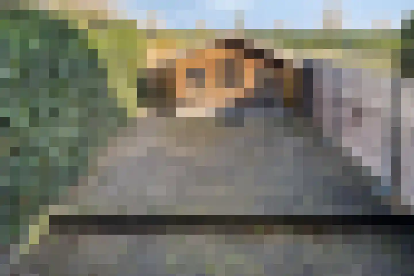 Dokter Kanterslaan 188 Grave thumbnail 44