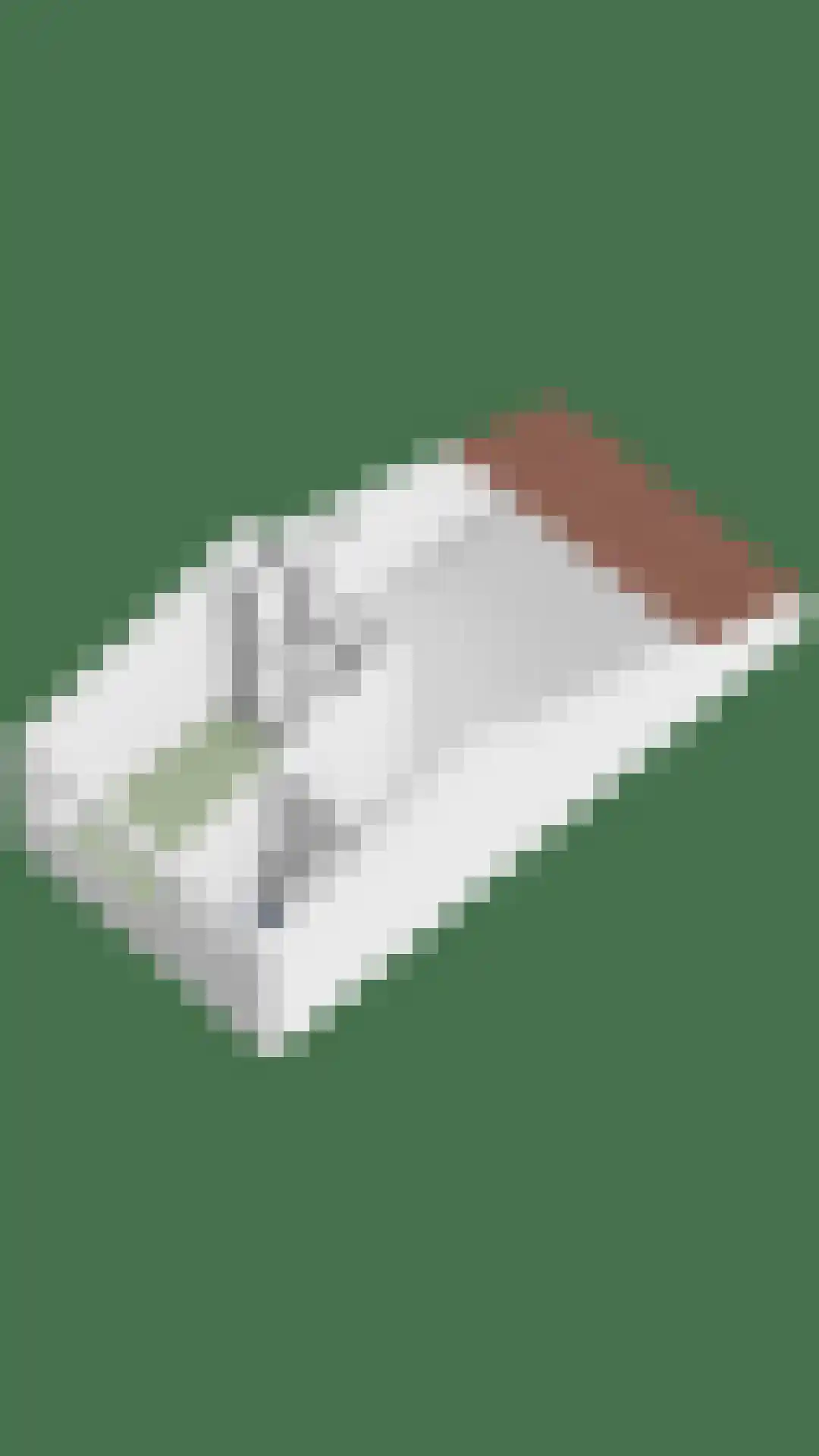 Dokter Kanterslaan 188 Grave thumbnail 59