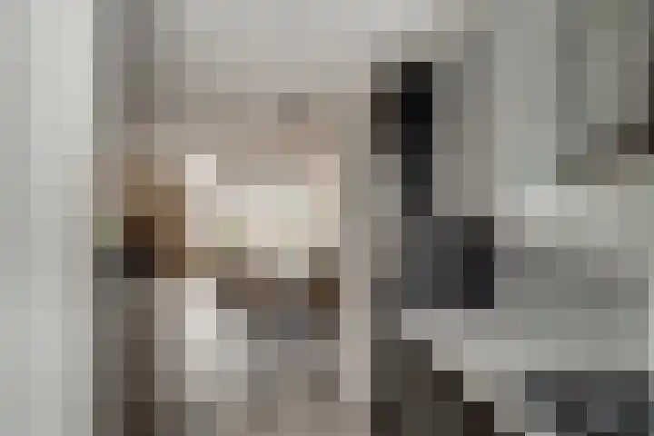 Dokter Kanterslaan 19 Grave thumbnail 10