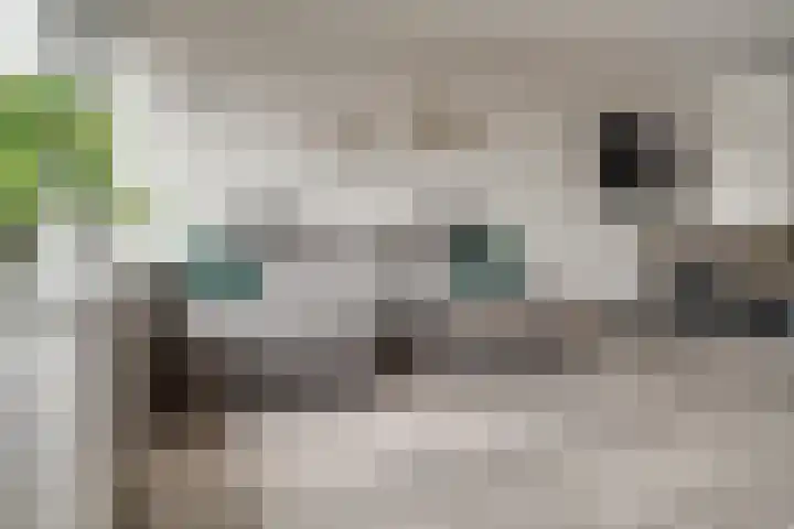 Dokter Kanterslaan 19 Grave thumbnail 13