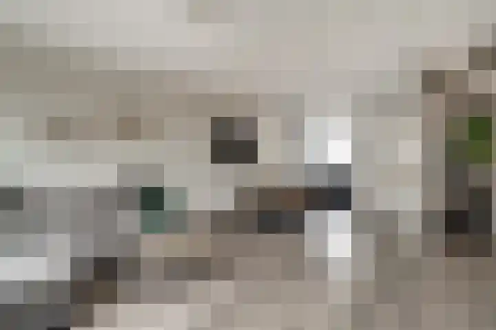 Dokter Kanterslaan 19 Grave thumbnail 14