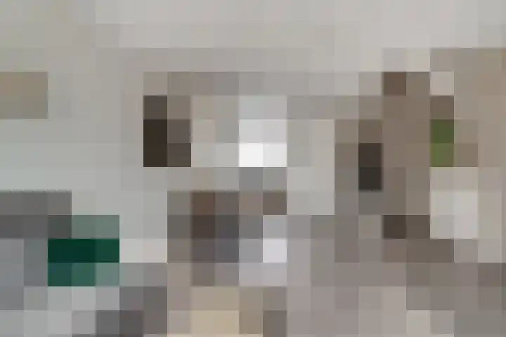 Dokter Kanterslaan 19 Grave thumbnail 15