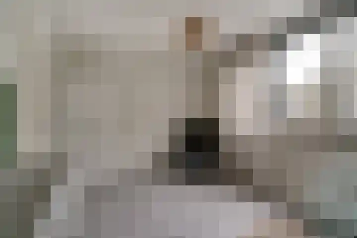 Dokter Kanterslaan 19 Grave thumbnail 17