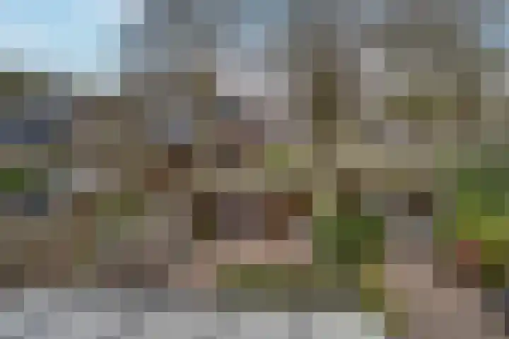 Dokter Kanterslaan 19 Grave thumbnail 19