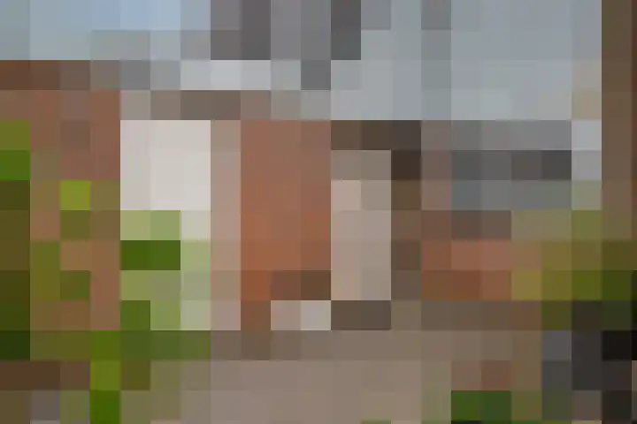 Dokter Kanterslaan 19 Grave foto 2