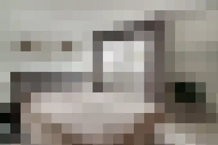 Dokter Kanterslaan 19 Grave thumbnail 22