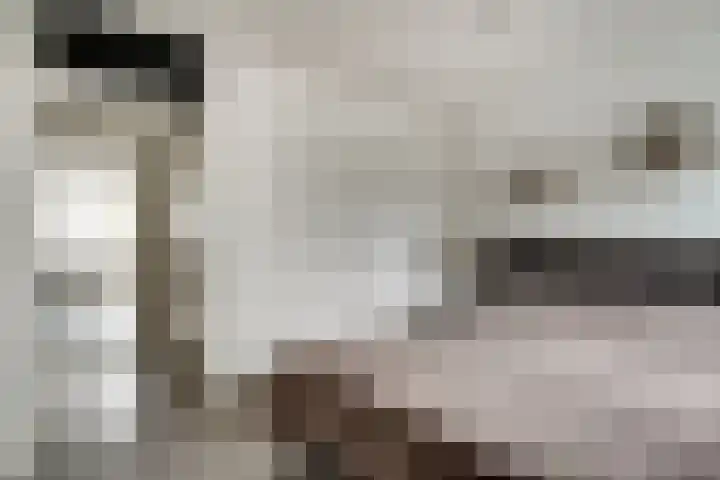 Dokter Kanterslaan 19 Grave thumbnail 23