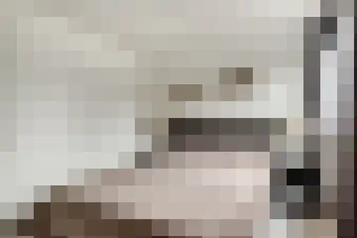 Dokter Kanterslaan 19 Grave thumbnail 24
