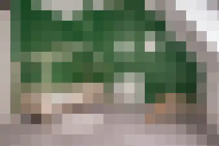 Dokter Kanterslaan 19 Grave thumbnail 25