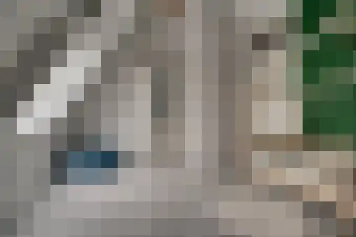 Dokter Kanterslaan 19 Grave thumbnail 26