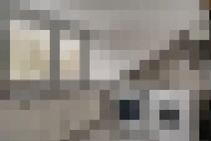 Dokter Kanterslaan 19 Grave thumbnail 27