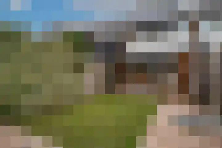 Dokter Kanterslaan 19 Grave thumbnail 28