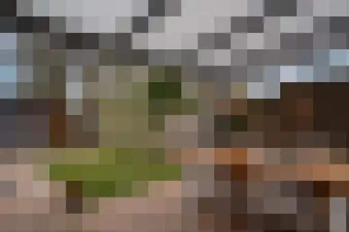 Dokter Kanterslaan 19 Grave thumbnail 29