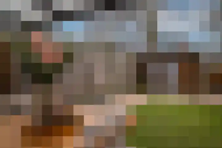 Dokter Kanterslaan 19 Grave thumbnail 30