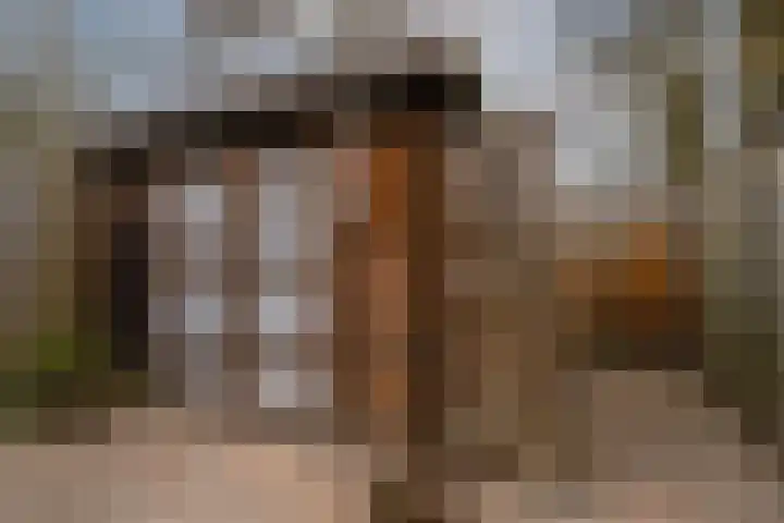 Dokter Kanterslaan 19 Grave thumbnail 31