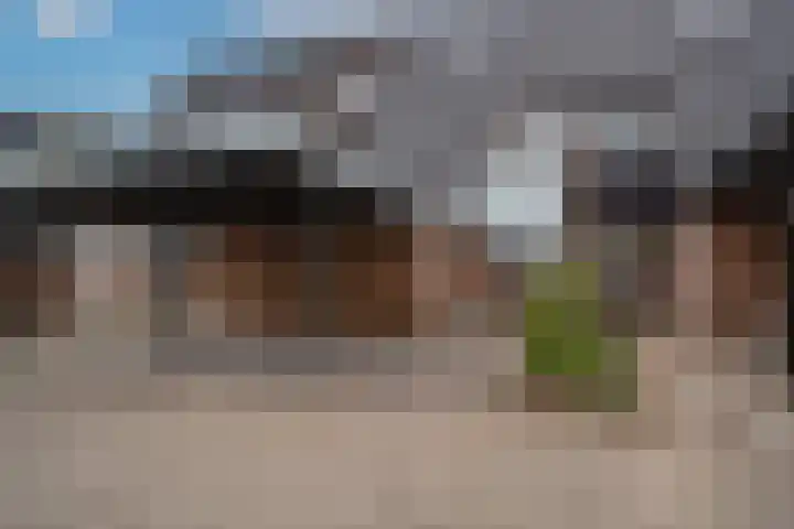 Dokter Kanterslaan 19 Grave thumbnail 34
