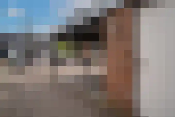 Dokter Kanterslaan 19 Grave thumbnail 35
