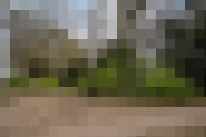 Dokter Kanterslaan 19 Grave thumbnail 37