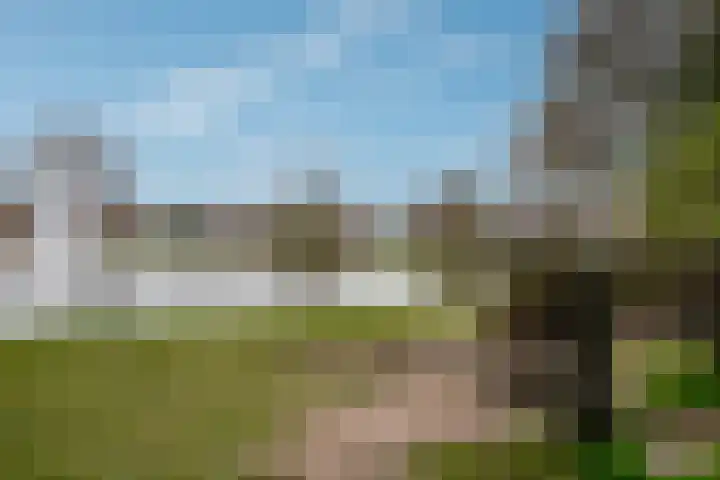 Dokter Kanterslaan 19 Grave thumbnail 39