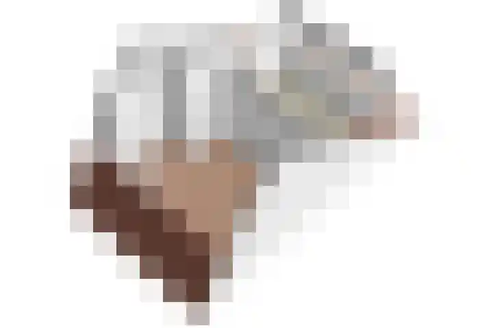 Dokter Kanterslaan 19 Grave thumbnail 48