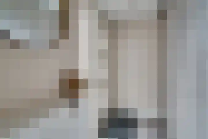 Dokter Kanterslaan 19 Grave thumbnail 5