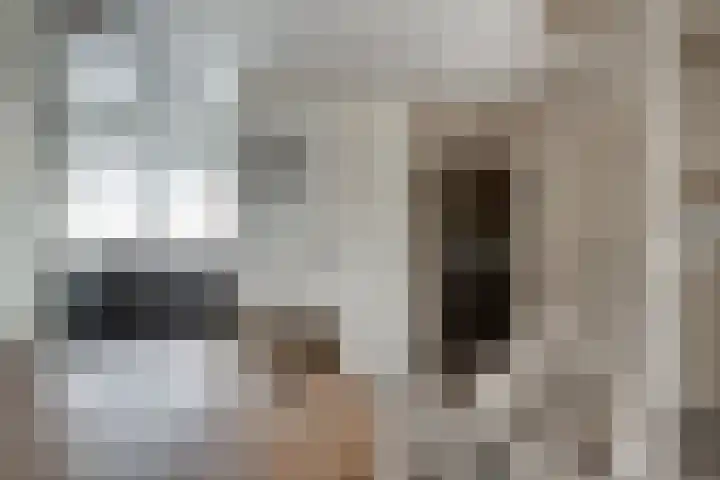 Dokter Kanterslaan 19 Grave thumbnail 6
