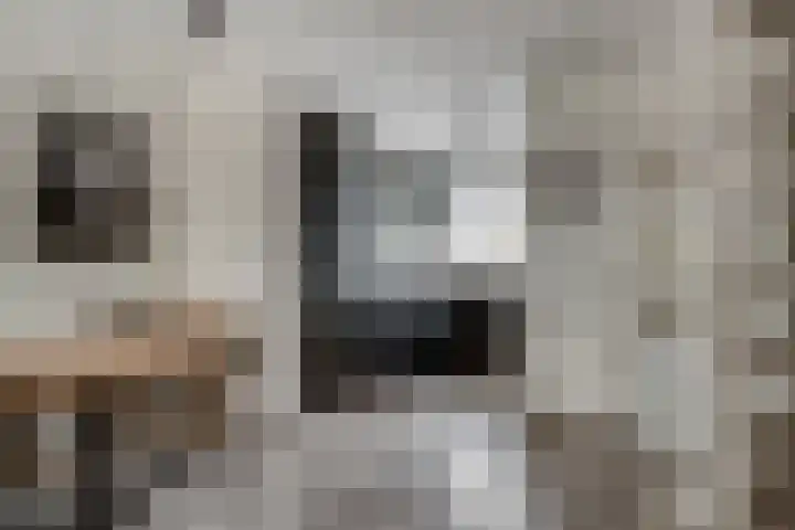Dokter Kanterslaan 19 Grave thumbnail 7