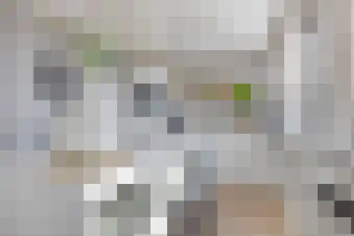Dokter Kanterslaan 190 Grave thumbnail 16