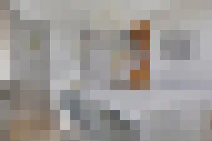 Dokter Kanterslaan 190 Grave thumbnail 17